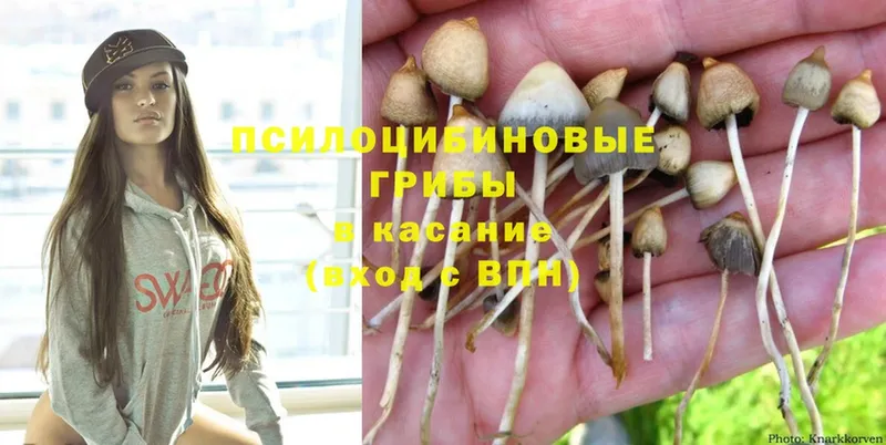 Галлюциногенные грибы MAGIC MUSHROOMS  купить  цена  Новопавловск 